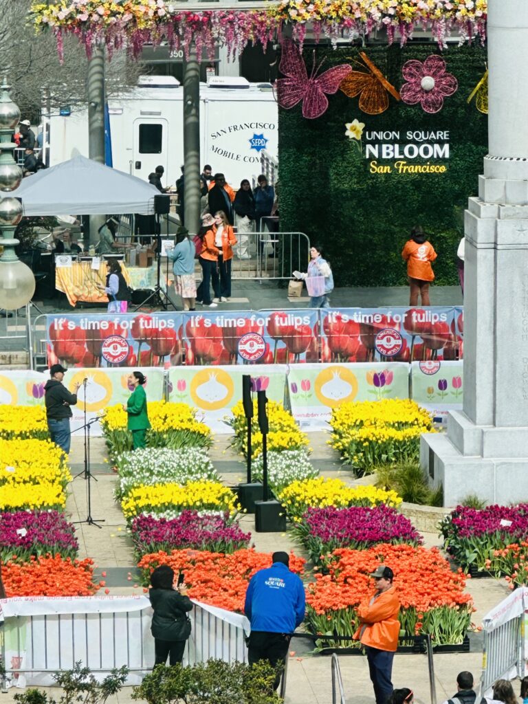 San Francisco hands out tulips as major retailers flee iconic Union ...