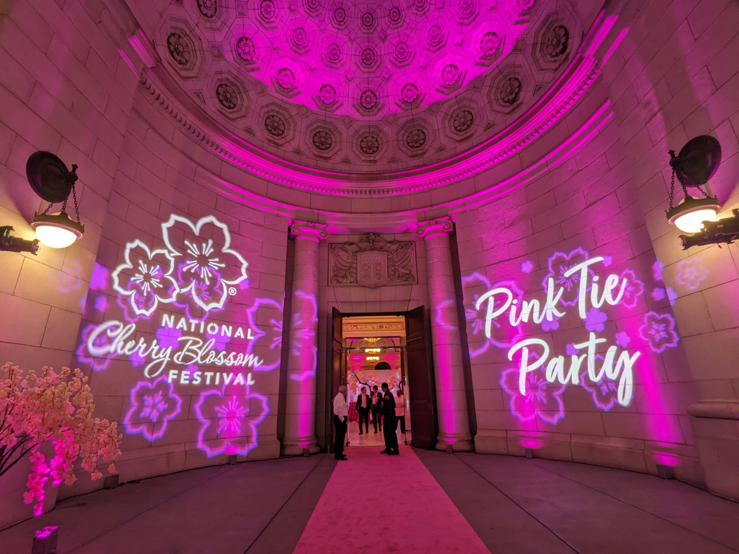 NextImg:Cherry Blossom Festival incorporates Japanese culture
