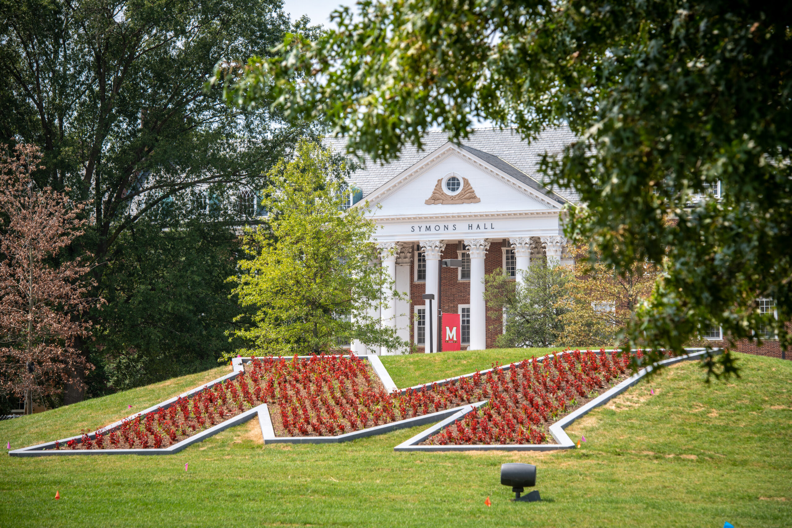 UMD suspends Greek organizations amid misconduct allegations