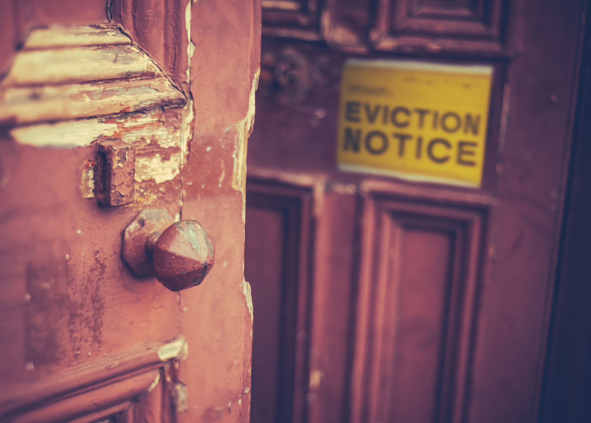 NextImg:Squatter nation - Washington Examiner
