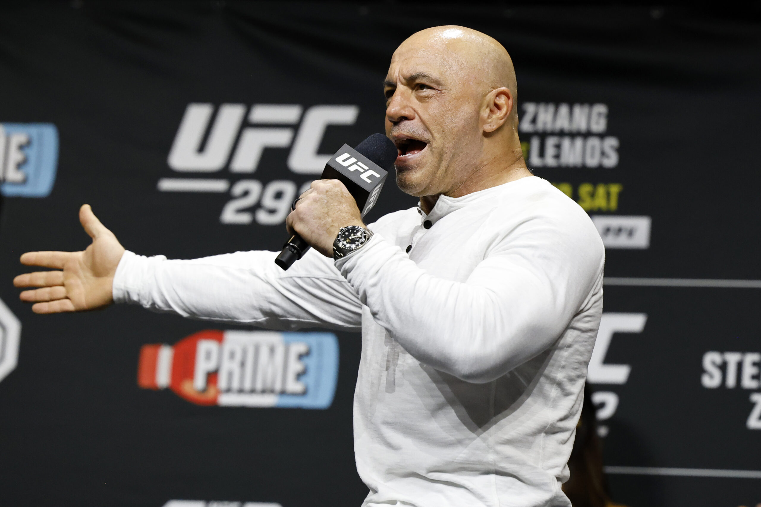 NextImg:Joe Rogan slams The View as a ‘rabies-infested henhouse’ - Washington Examiner