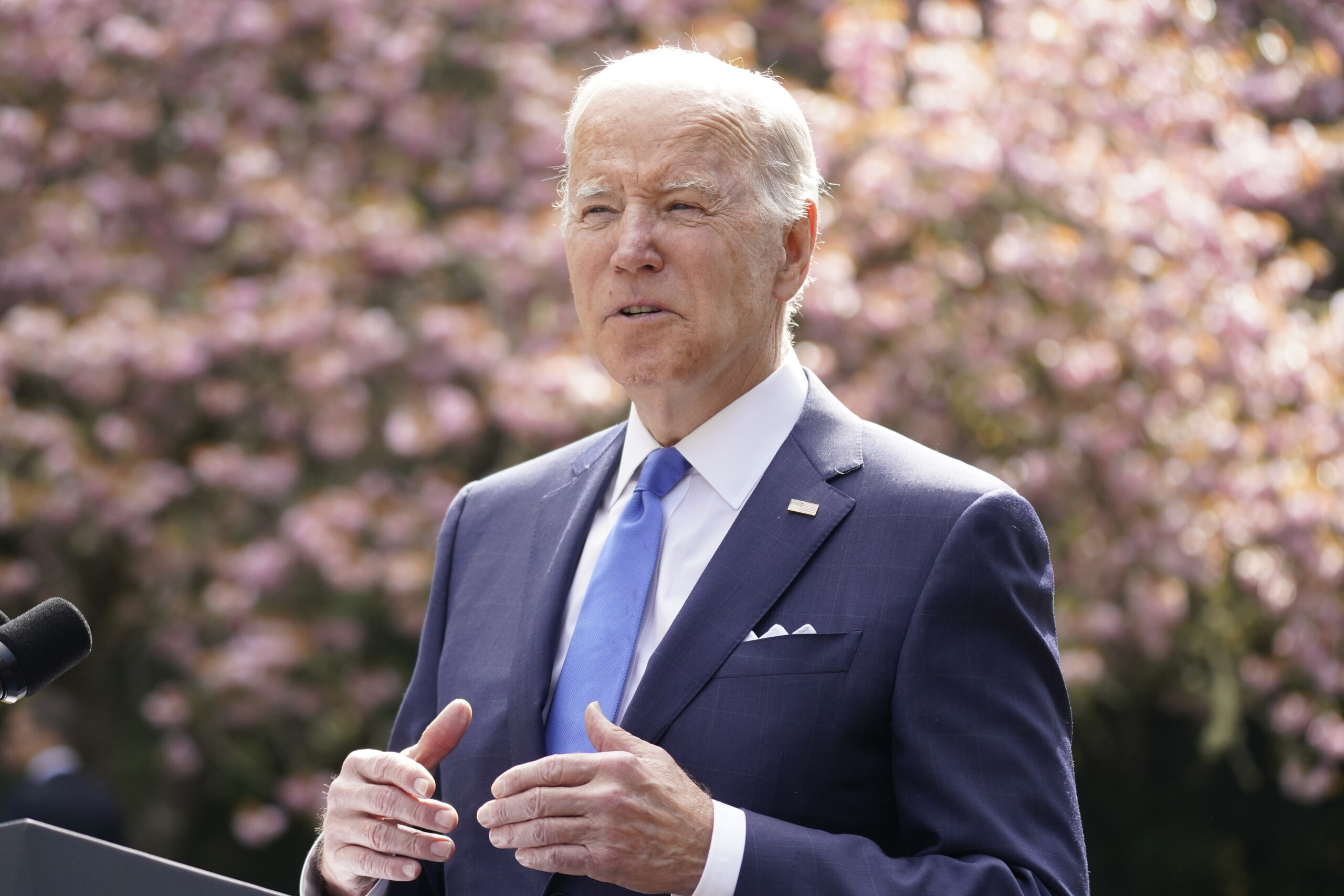NextImg:Washington Examiner’s Sarah Bedford argues anti-Israel mentality in US could be vulnerability for Biden in 2024 - Washington Examiner