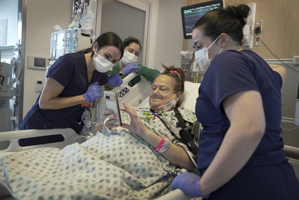 NextImg:Woman too sick for human organ receives pig kidney transplant - Washington Examiner