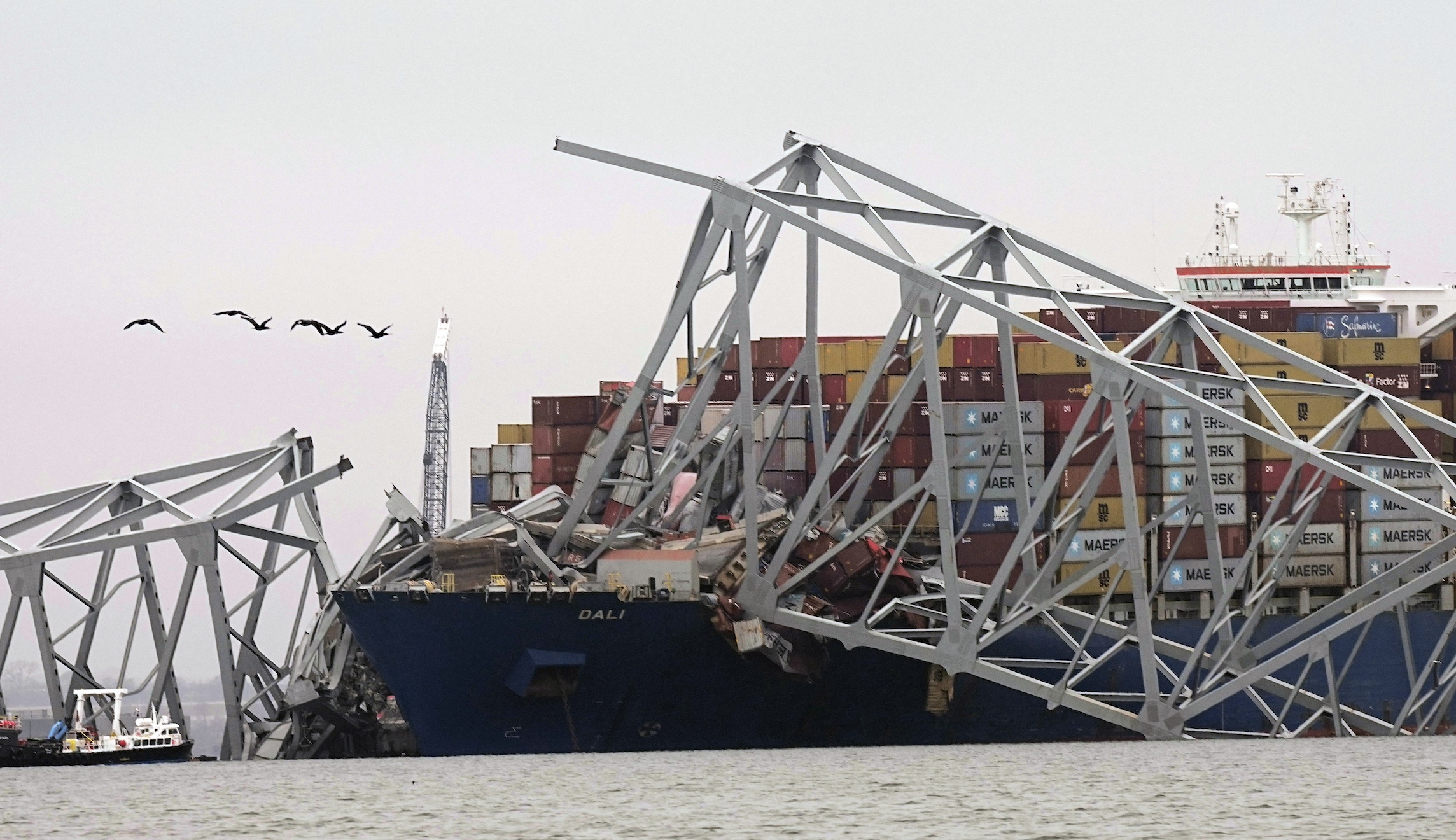 NextImg:FBI begins criminal investigation into ship that collided with Francis Scott Key Bridge - Washington Examiner