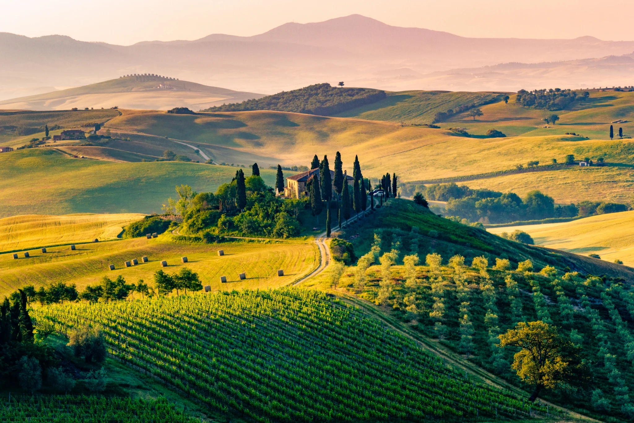 NextImg:Taste the Regions of Italy Through These Five Italian Wines