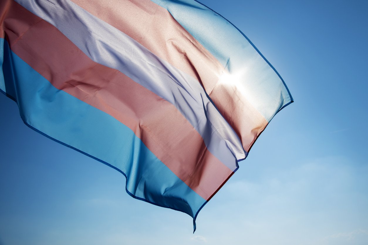 NextImg:An expertly created transgender fantasyland - Washington Examiner