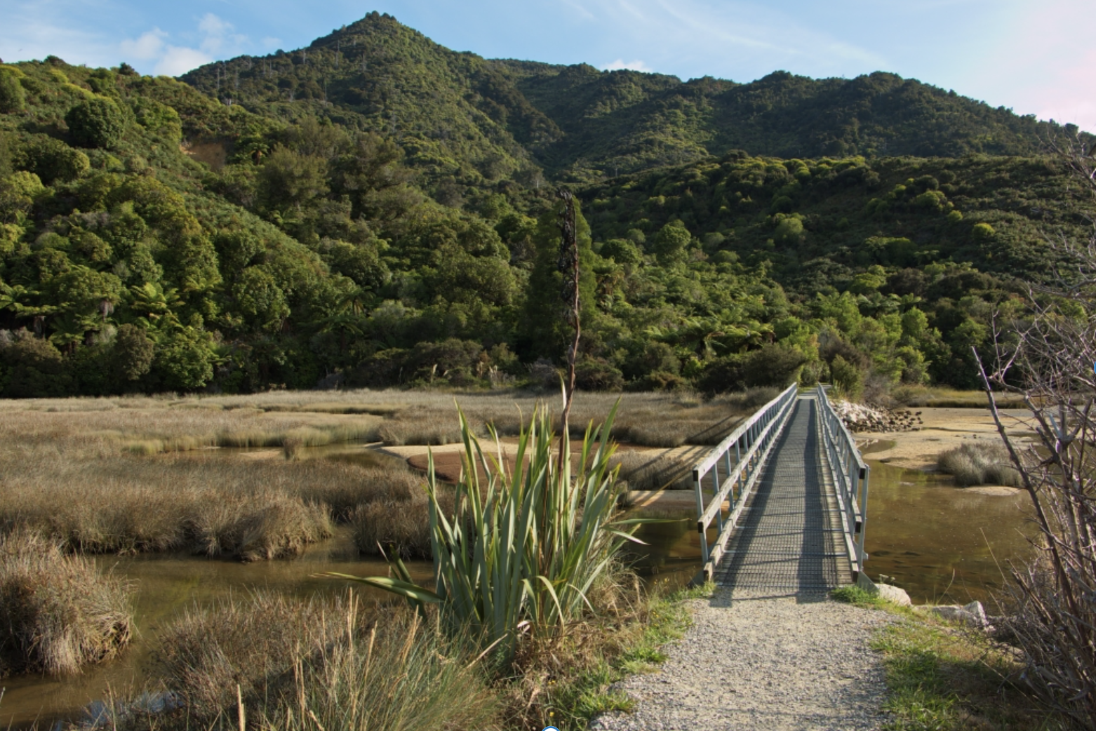 NextImg:Why a New Zealand Getaway is the Thrill of a Lifetime - Washington Examiner