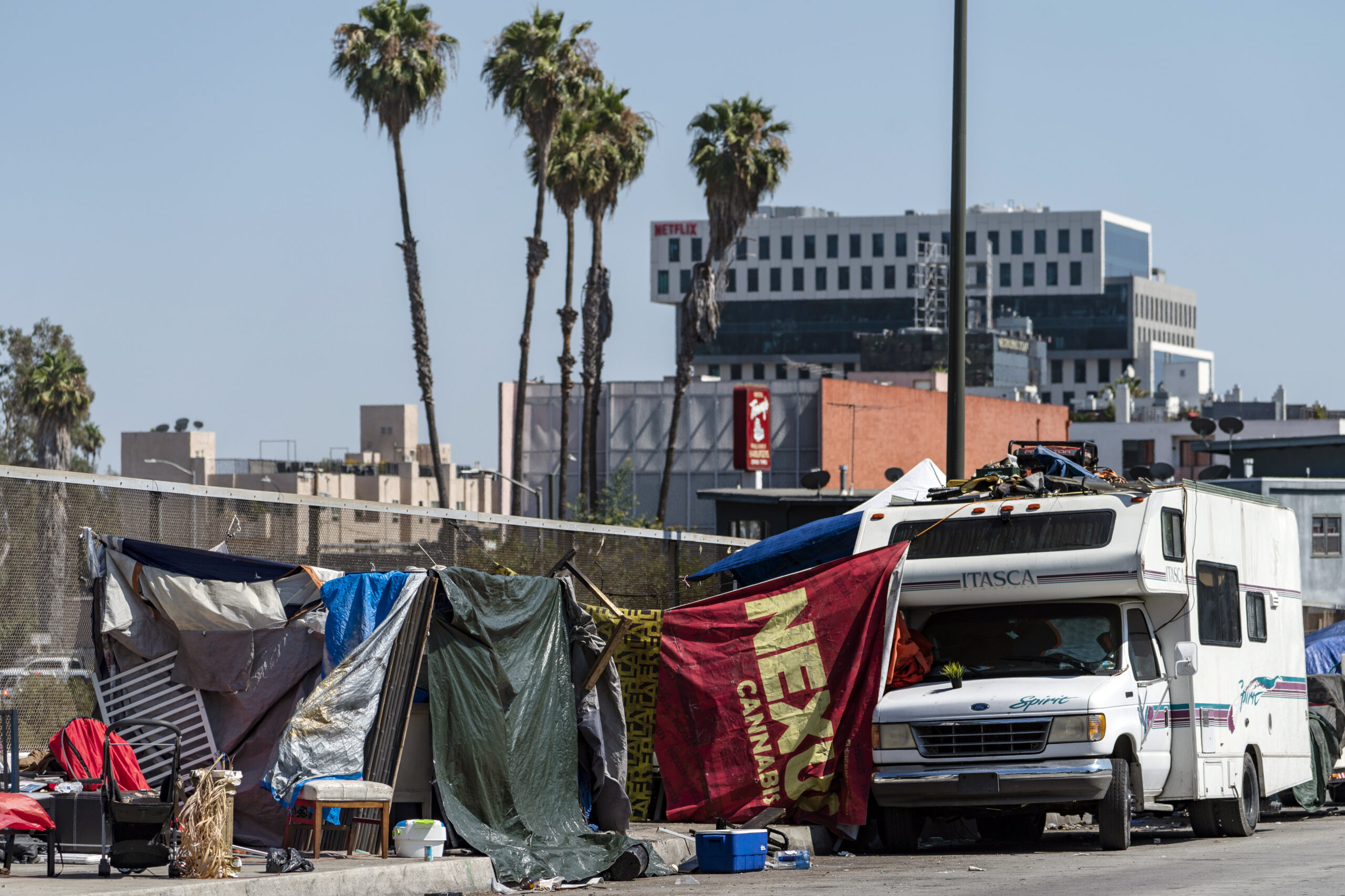 NextImg:Hollywood locals plant garden beds to battle homeless epidemic hurting businesses - Washington Examiner