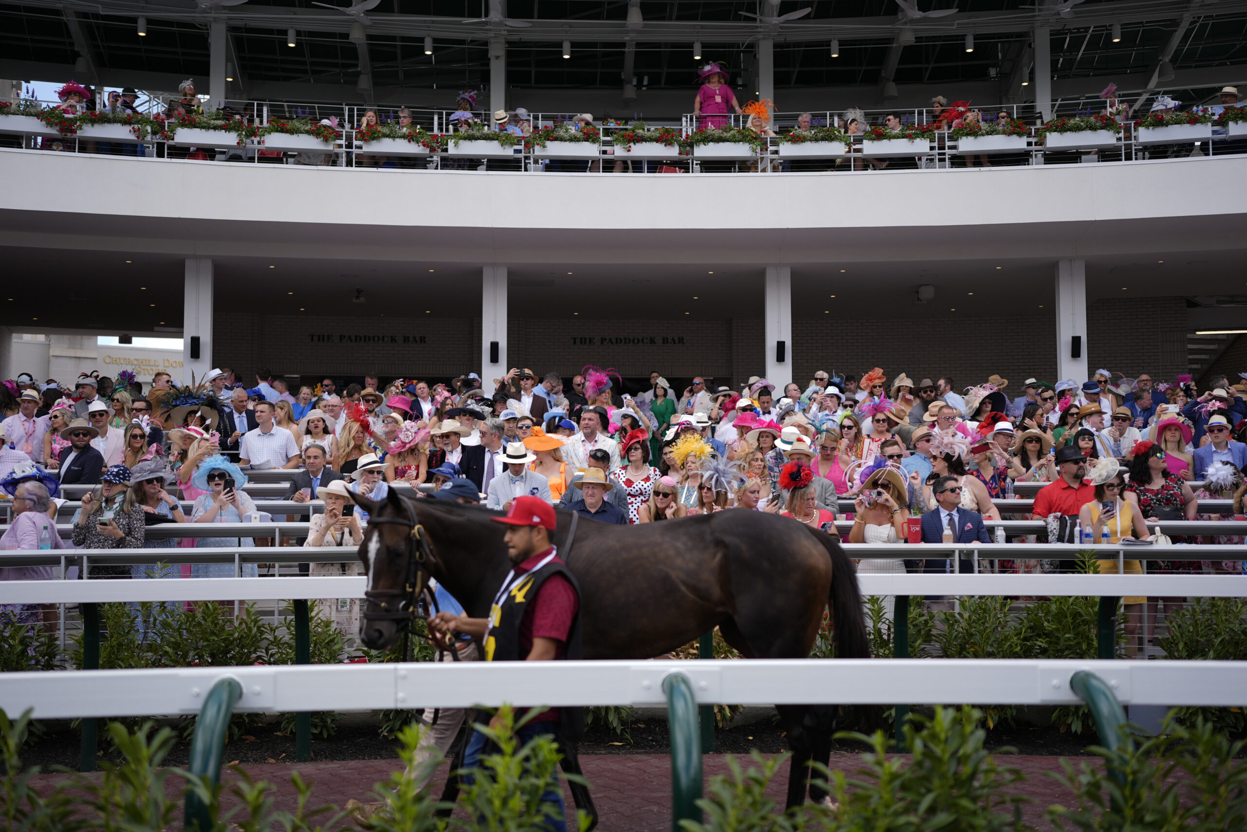NextImg:What to know about the 2024 Kentucky Derby - Washington Examiner