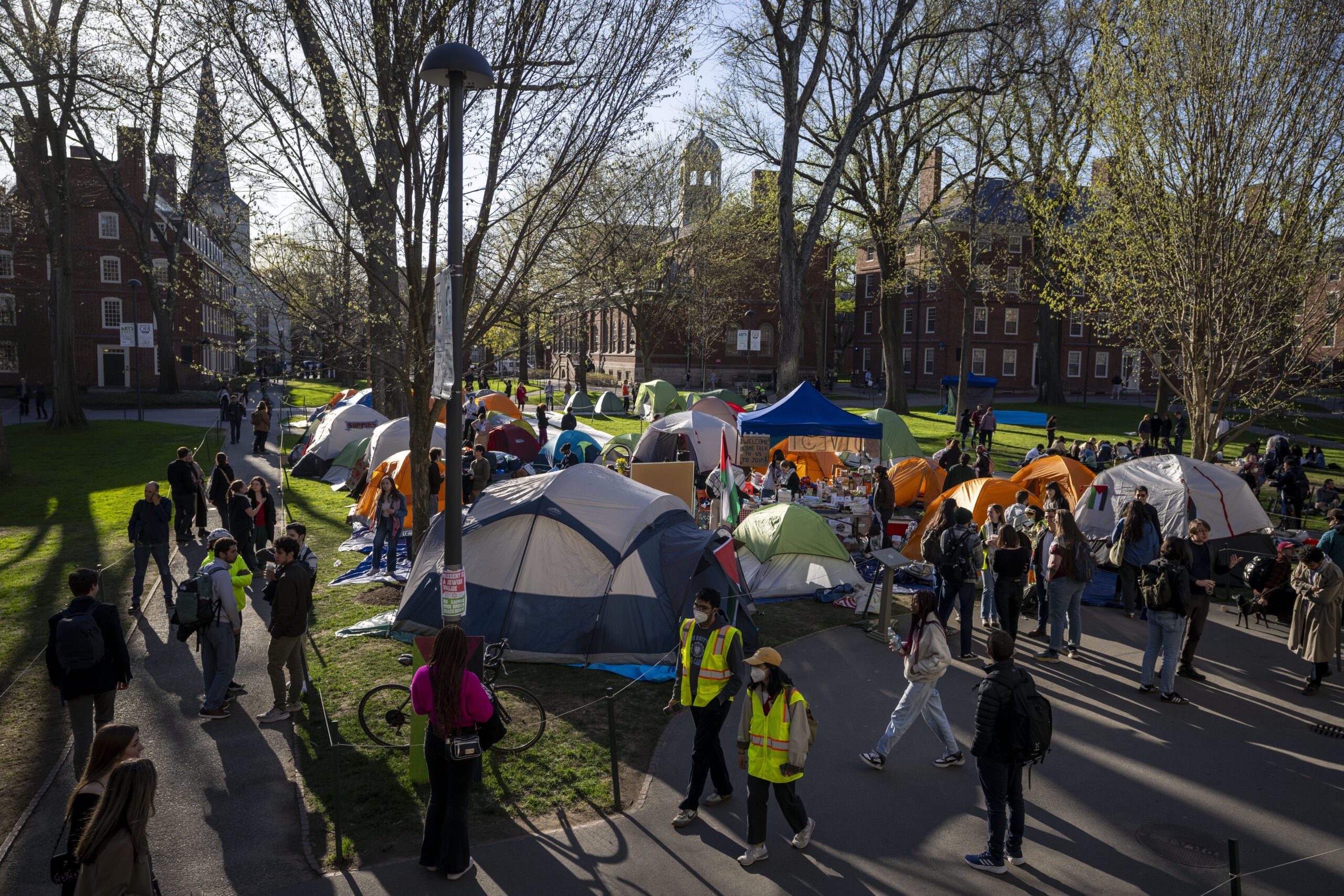 NextImg:Harvard enters agreement with protesters, ending encampment - Washington Examiner